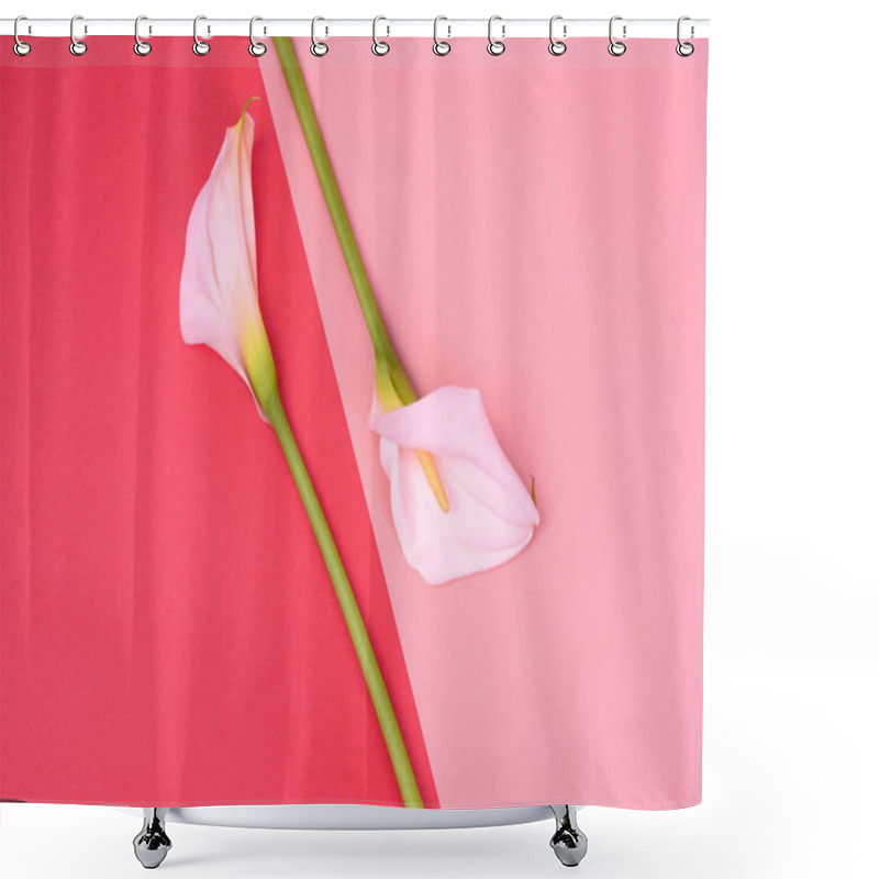 Personality  Beautiful Pink Background With White Callas. Delicate Flowers Shower Curtains