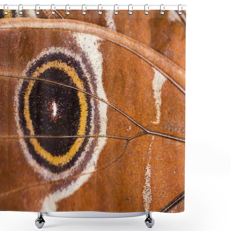 Personality  Macro Closeup Of Brown Butterfly Wing Texture Background Pattern. Shower Curtains