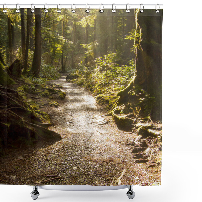 Personality  Rainforest Path Shower Curtains