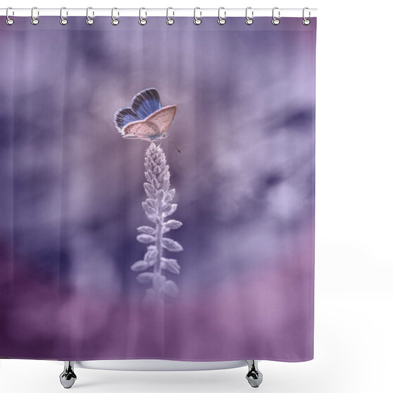 Personality  Blue Butterfly On The Flower With Soft Tones Shower Curtains