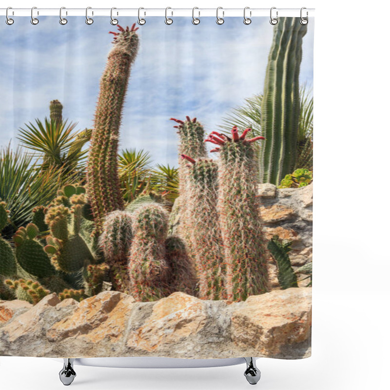 Personality  Exotic Botanical Garden In Eze Village, French Riviera Coast, France Shower Curtains