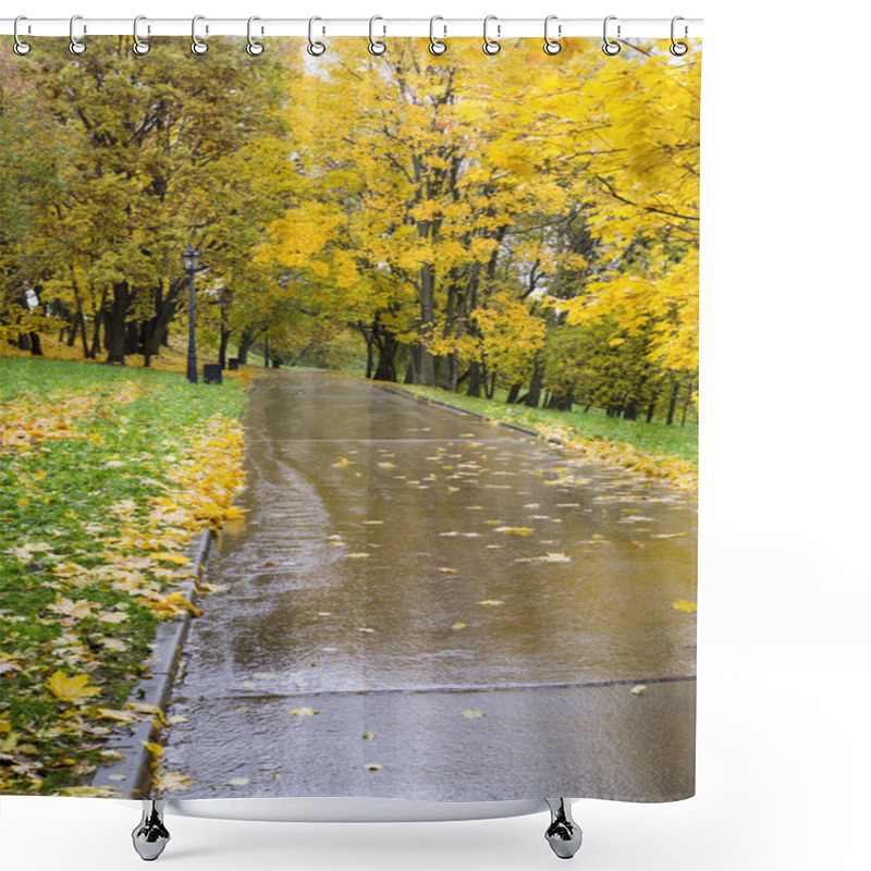 Personality  Road Through The Park At Rainy Autumn Morning. Background, Nature. Shower Curtains