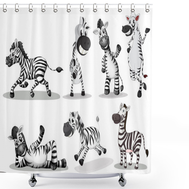 Personality  Playful Zebras Shower Curtains