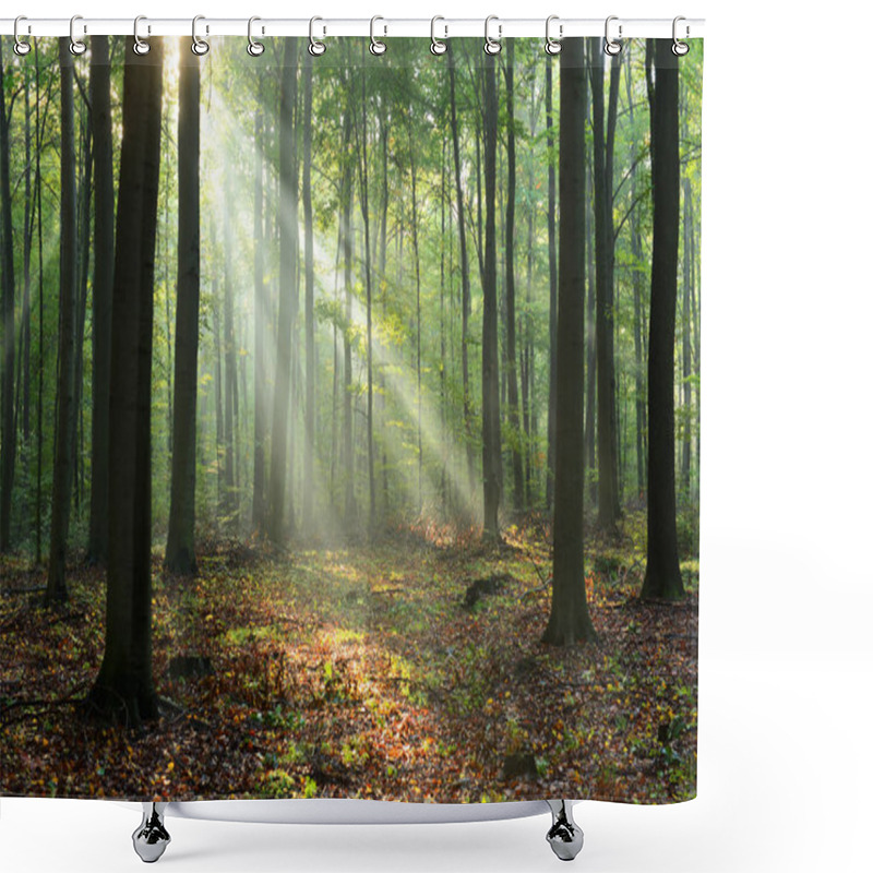 Personality  Beautiful Morning Sunbeams In Misty Forest Shower Curtains