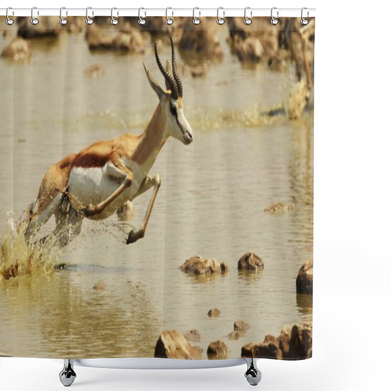 Personality  A Closeup Shot Of A Gazelle Galloping Away Over A Shallow River Shower Curtains