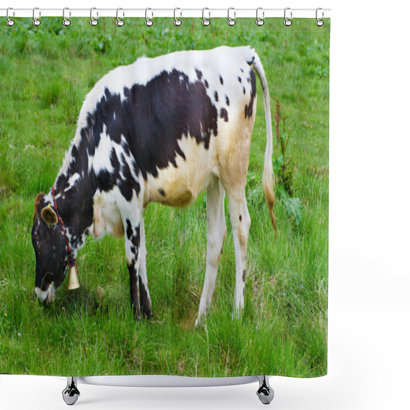 Personality  Dairy Cow Grazing At Meadow Shower Curtains