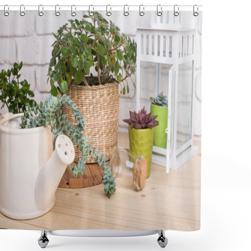 Personality  Succulents, House Plants In Pots Shower Curtains