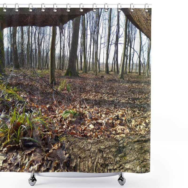 Personality  Spring Landscape In The Forest With Fallen Leaves And A Frame Of Tree Branches. Natural Forest Beautiful Spring Landscape In Sunny Weather. Shower Curtains