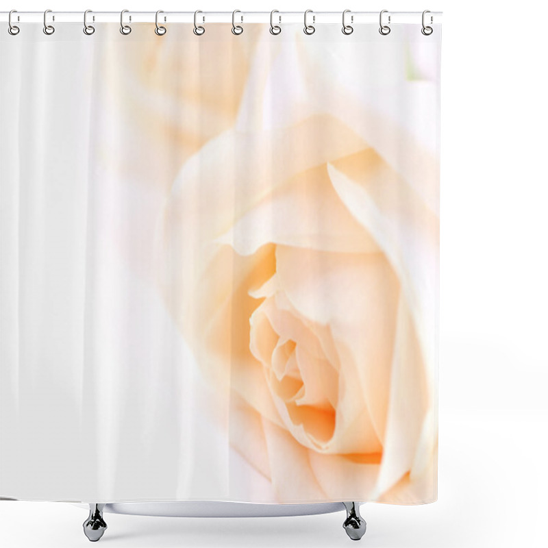 Personality  Beige Roses Shower Curtains