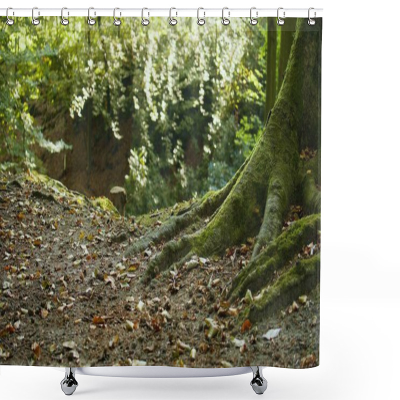 Personality  Large Tree Roots Covered In Moss Create A Magical Scene In An Autumn Forest Exploring Fairytale Landscapes And Promoting Eco-Friendly Tourism While Showcasing Nature S Beauty, Ecosystem Conservation Shower Curtains