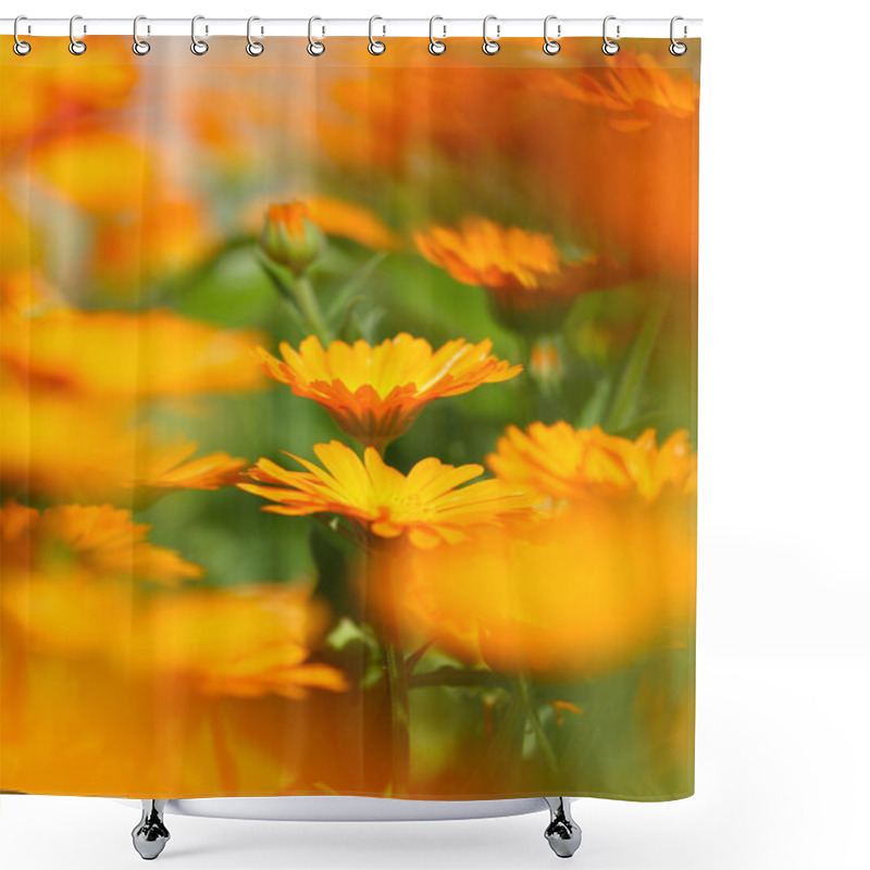 Personality  Marigold Flower Shower Curtains