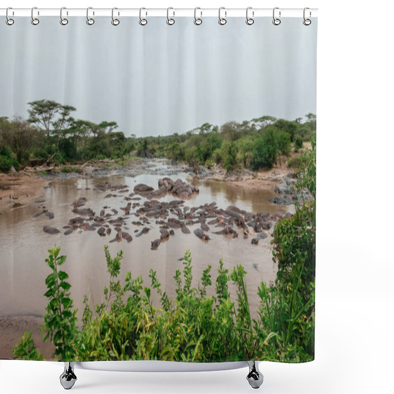 Personality  Bloat Of Hippos In River Shower Curtains