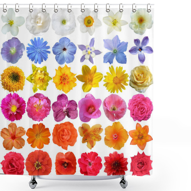 Personality  Big Selection Of Various Flowers Isolated On White Background Shower Curtains