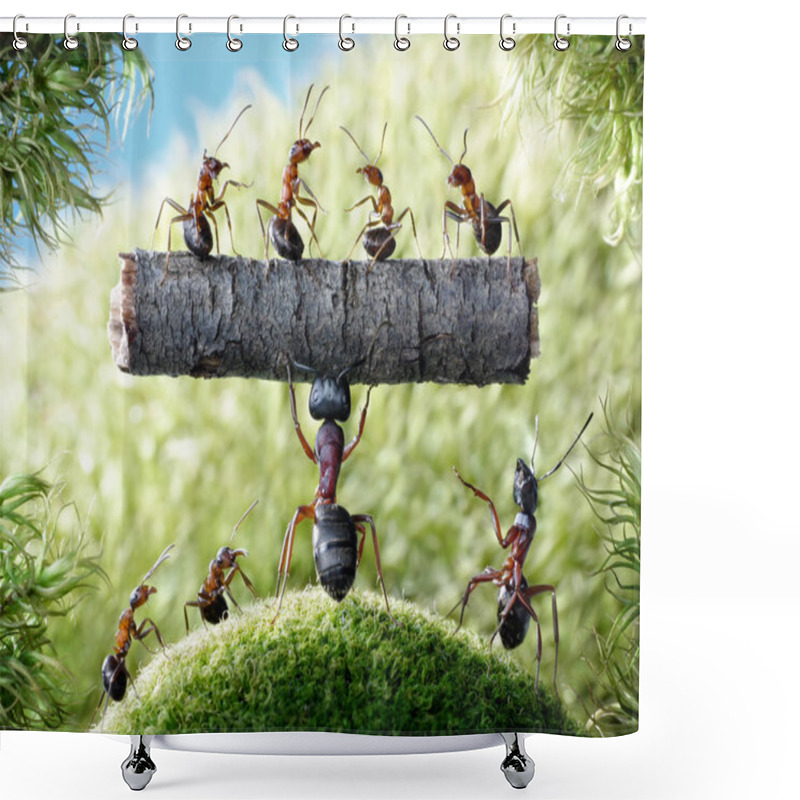 Personality  Mighty Ant Camponotus Herculeanus And Ants Formica Rufa Shower Curtains