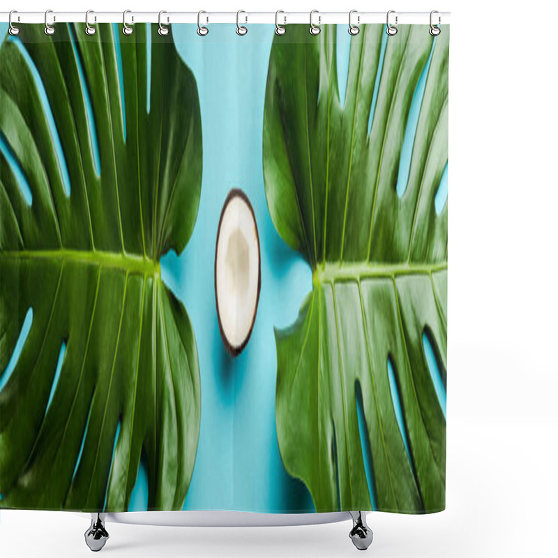 Personality  Top View Of Green Palm Leaves And Coconut Half On Blue Background, Panoramic Shot Shower Curtains