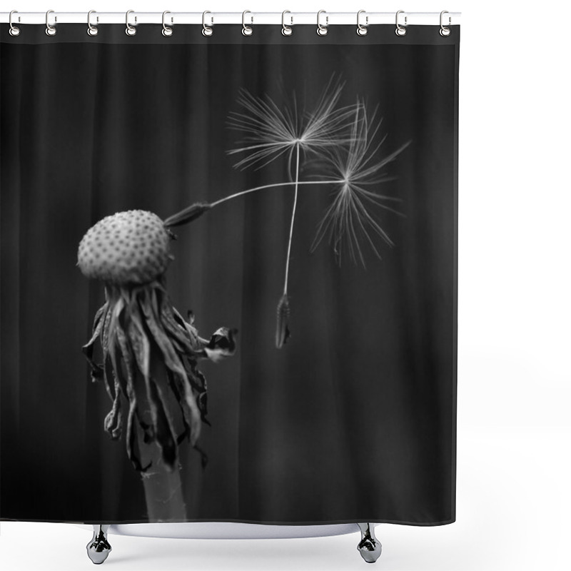 Personality  Dandelion With Two Last Seeds Shower Curtains