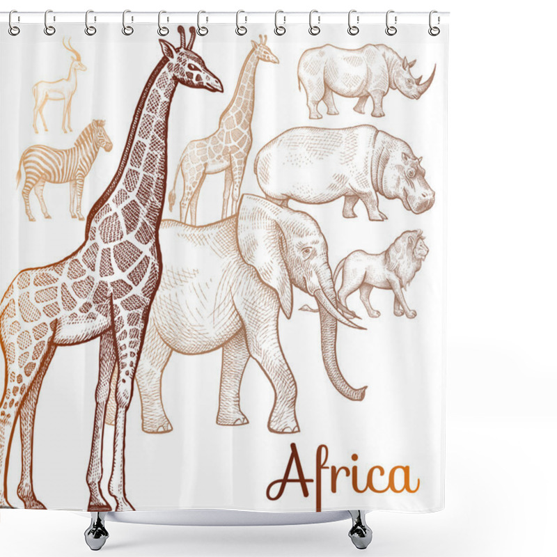 Personality  Illustration Of African Animals. Shower Curtains