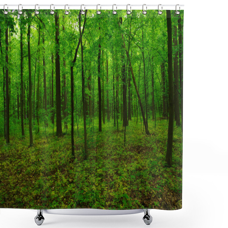 Personality  Beautiful Green Forest Shower Curtains