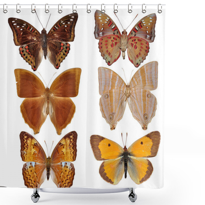 Personality  Butterfly Collection Shower Curtains