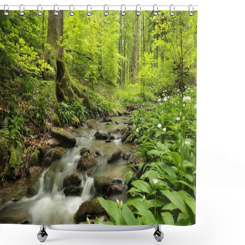 Personality  Spring Deciduous Forest Shower Curtains