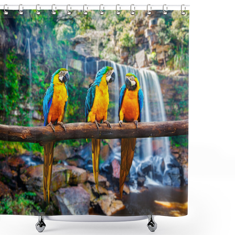 Personality  Blue-and-Yellow Macaw Ara Ararauna Shower Curtains