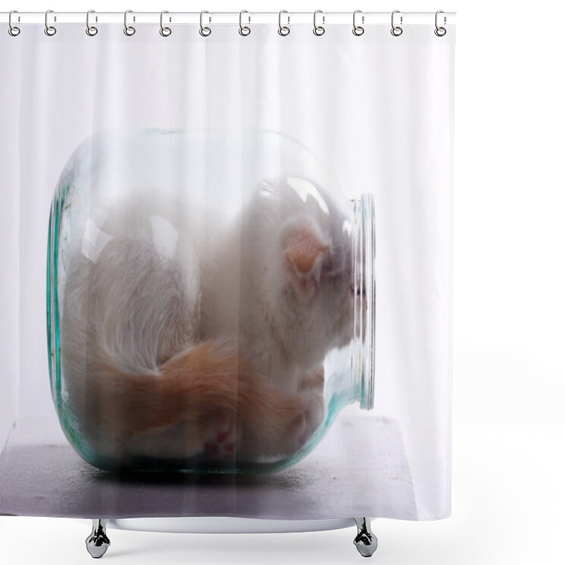 Personality   Kitten In A Glass Jar Shower Curtains