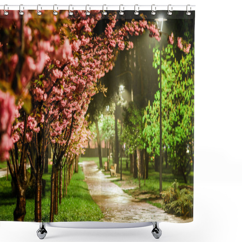 Personality  Rose Cherry Blossom Alley At Kyoto (Kioto) Park, Kyiv, Ukraine Shower Curtains