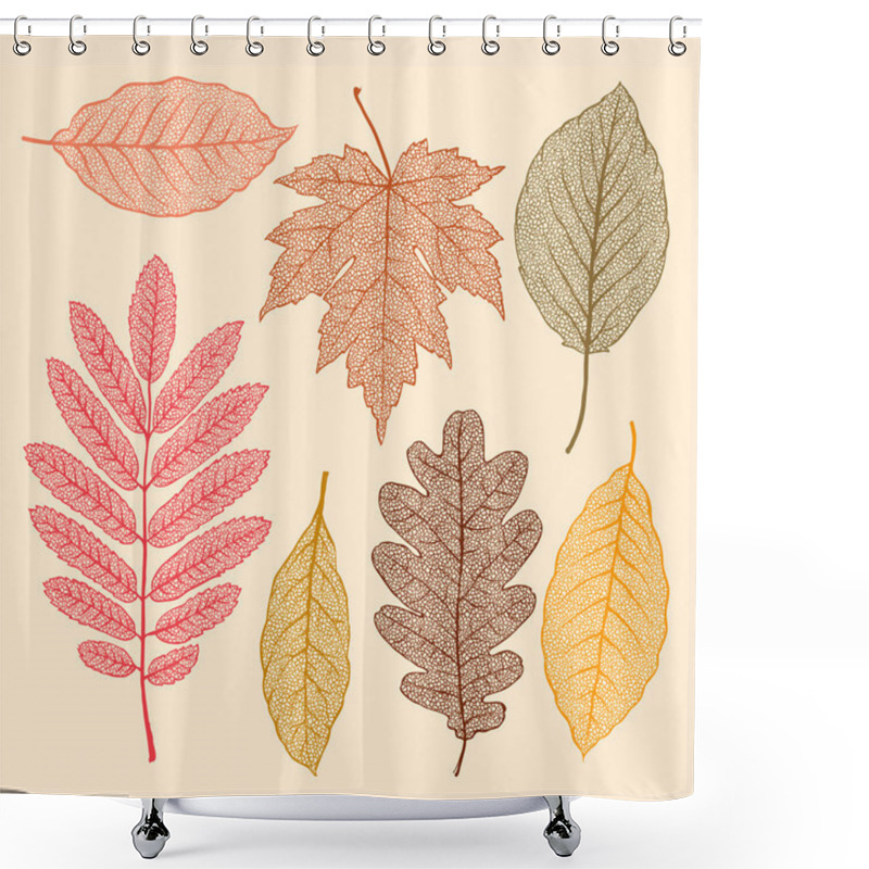 Personality  Autumn Leaves, Isolated Dried Leaves Set, Vector Illustration. Shower Curtains