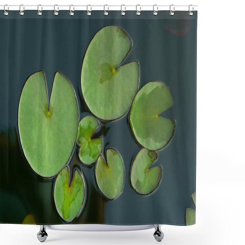 Personality  Green Leaves Water Lilies In The Water Flat Lay  Shower Curtains