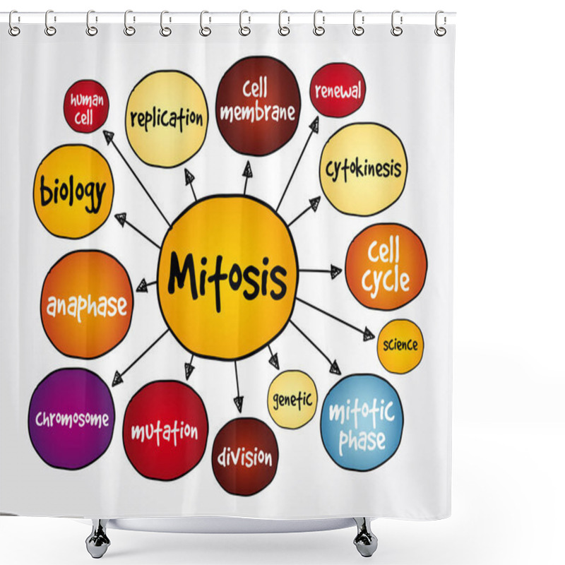 Personality  Mitosis Mind Map, Medical Concept For Presentations And Reports Shower Curtains