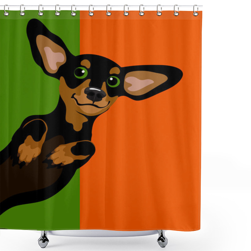 Personality  Funny Illustration Of A Dachshund Wiener Dog Shower Curtains