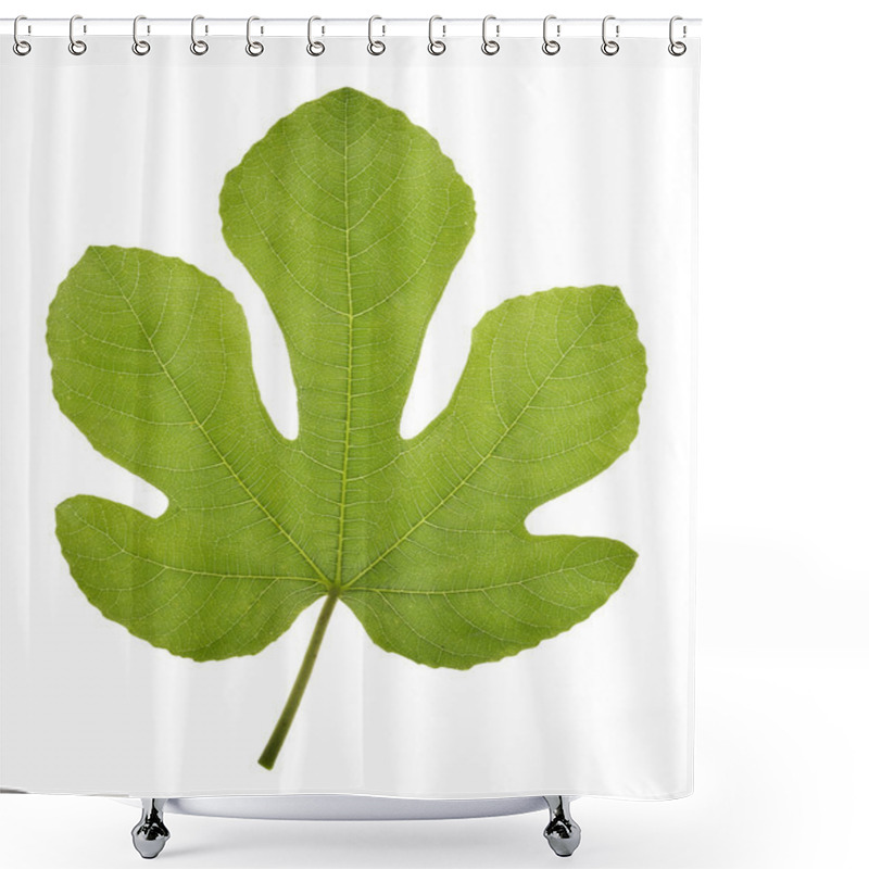 Personality  Fig Leaf Shower Curtains