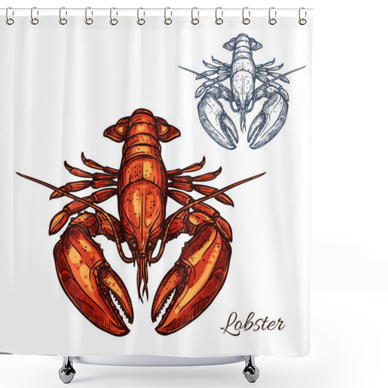 Personality  Lobster Isolated Sketch For Seafood Design Shower Curtains