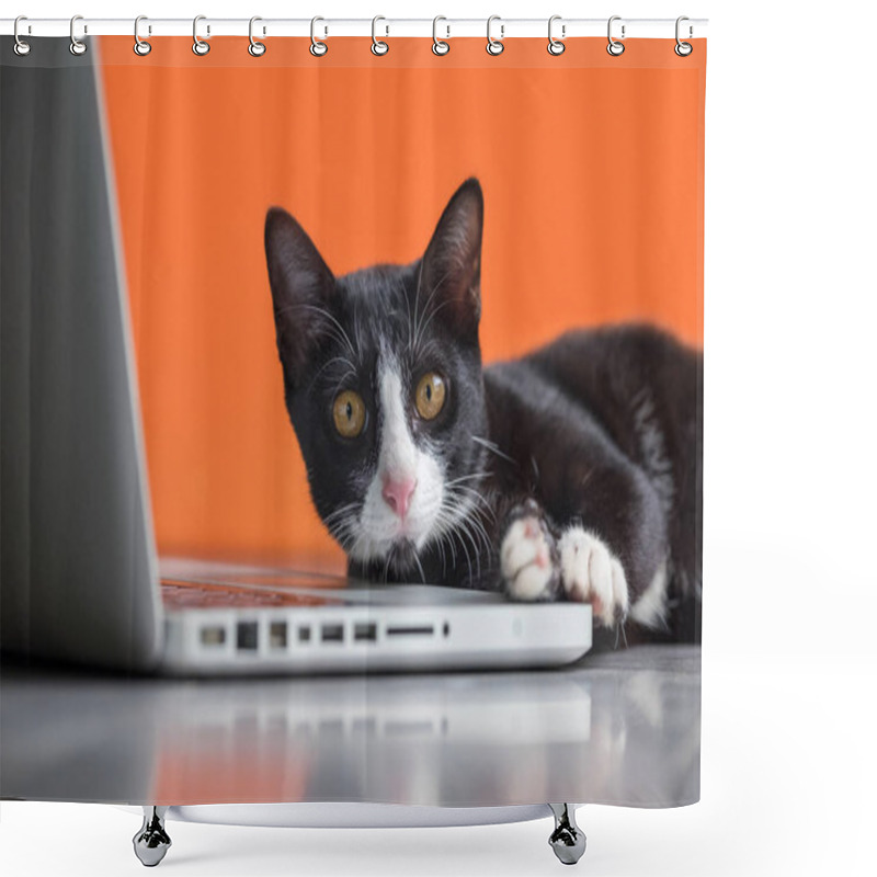 Personality  Black Cat Working At The Computer As A Developer Online Shower Curtains