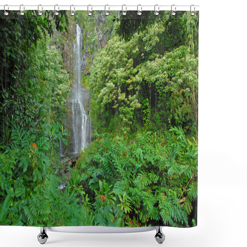 Personality  Remote Waterfall In Rainforest, Hawaii Shower Curtains