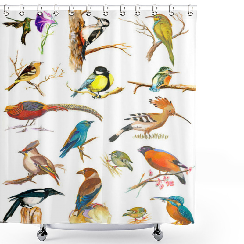 Personality  Birds. Hand Painted Placard. Shower Curtains