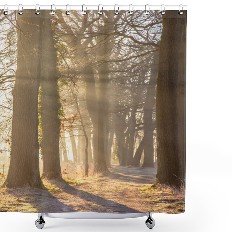 Personality  Sun Beams Through Rimed Trees Shower Curtains