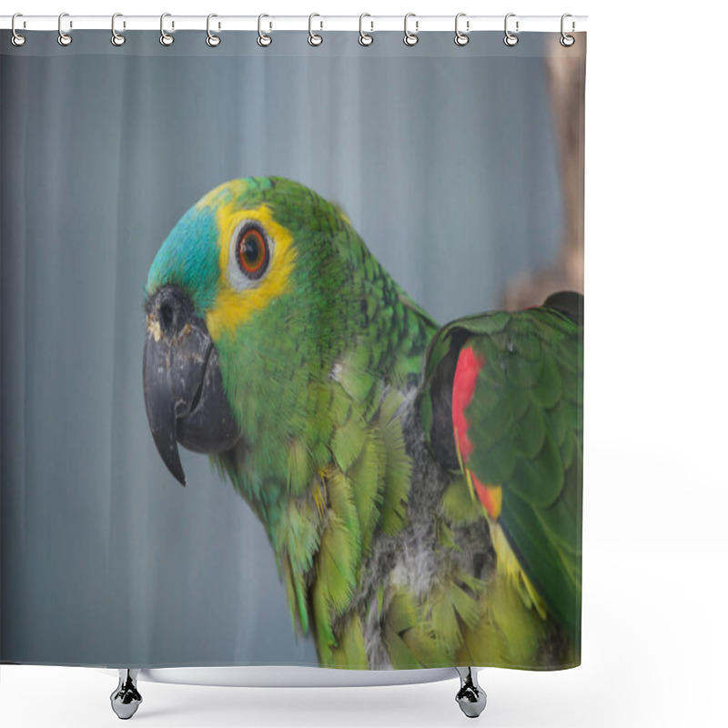 Personality  Turquoise-fronted Amazon (Amazona Aestiva) Shower Curtains