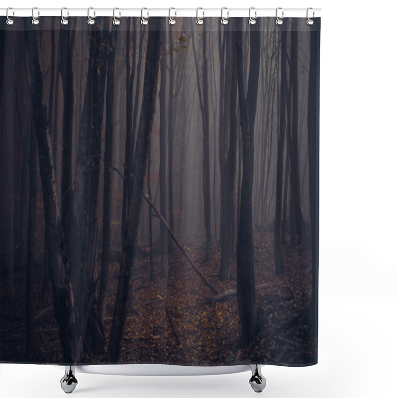 Personality  Near The Bear's Den Shower Curtains