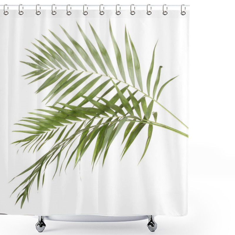 Personality  Beautiful Palm Leaves Isolated On White Shower Curtains