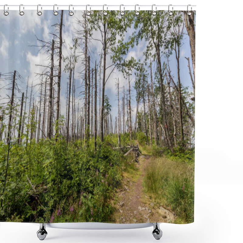 Personality  Forest Damaged By  European Spruce Bark Beetle In Beskydy Mountains, Czech Republic Shower Curtains