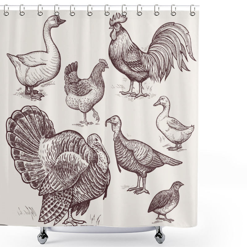 Personality  Graphic Illustration - Poultry Goose, Rooster, Chicken, Turkey,  Shower Curtains