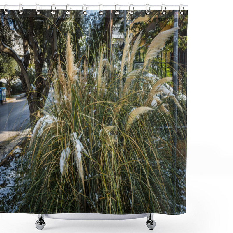 Personality  Bushes In Snow - Snow In Athens - Rare And Unique Event Shower Curtains