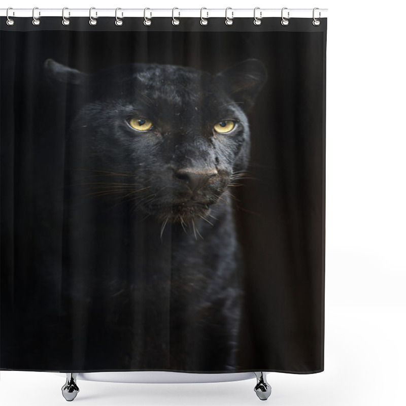 Personality  Leopard In Wild Habitat Shower Curtains