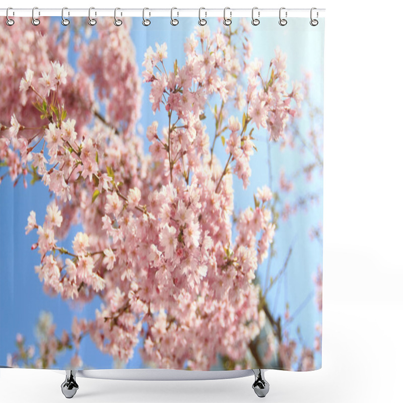 Personality  Sakura Japanese Cherry Blossoms Shower Curtains