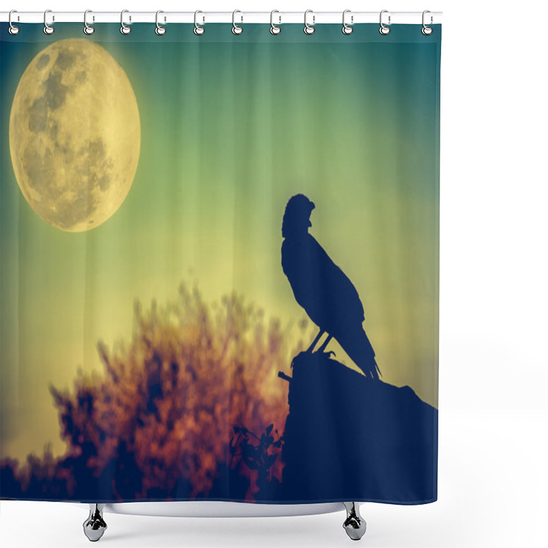 Personality  Night Sky With Full Moon, Tree And Silhouette Of Crow. Shower Curtains