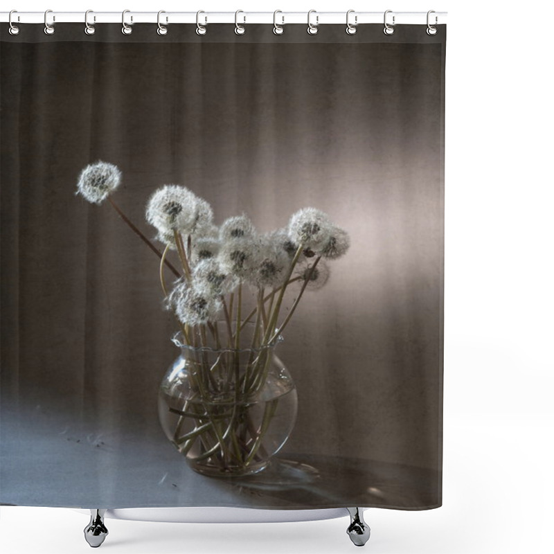 Personality  Dandelions Shower Curtains