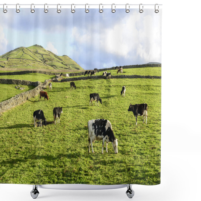 Personality  Cows At Pasture, Flores Island, Azorres Archipelago (Portugal) Shower Curtains