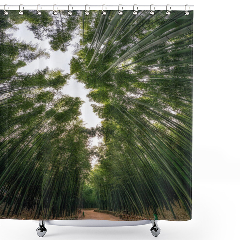 Personality  A Small Pathway Surrounded By Bamboo Trees In Simnidaebat Bamboo Forest. Ulsan, South Korea Shower Curtains