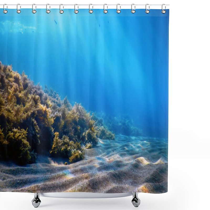 Personality  Underwater Scene, Fish Underwater Life, Marine Life Shower Curtains